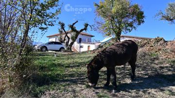 https://cheope.net/images/Anteprima_FattoriadelleCoccinelle_Montefino.jpg#joomlaImage://local-images/Anteprima_FattoriadelleCoccinelle_Montefino.jpg?width=360&height=203
