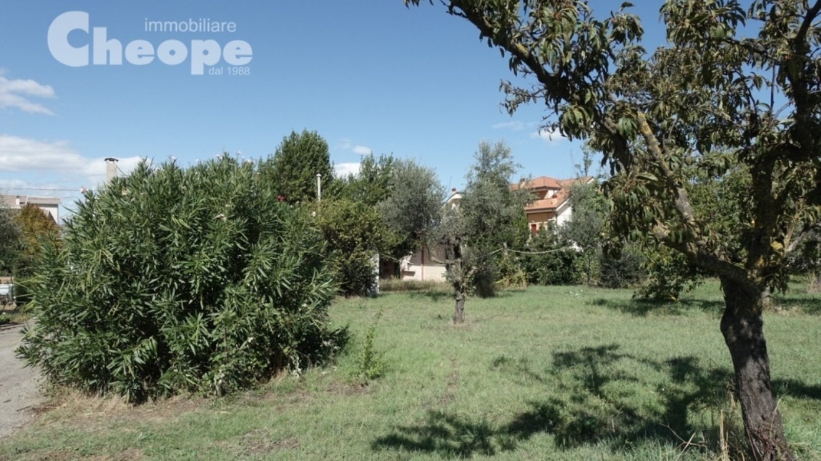 1.Terreno-Casale.JPG