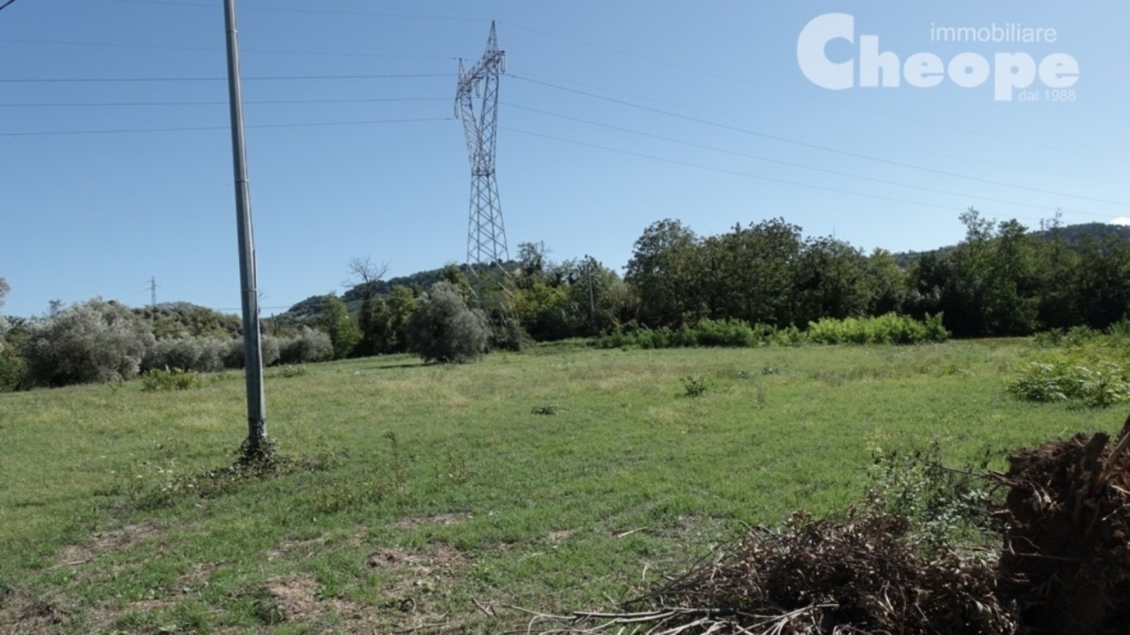 3.Terreno-Casale.JPG