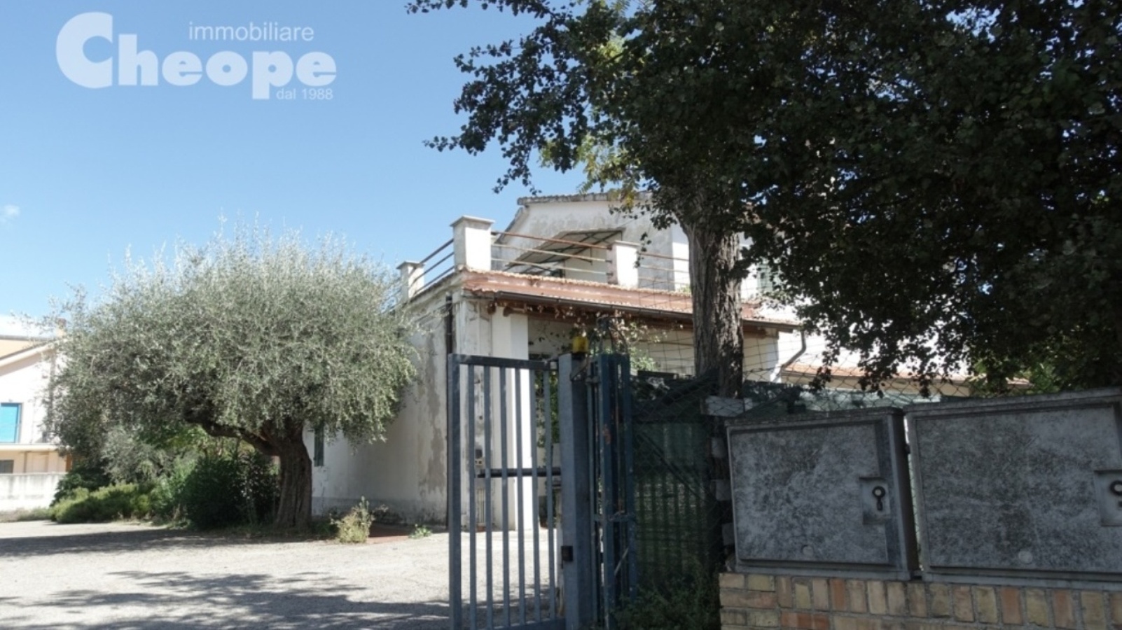 6.Terreno-Casale.JPG