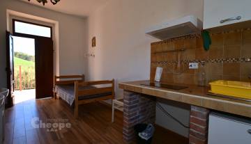 /images/gallery/thumbs/FattoriaCoccinelle_DSC_1960_360x207.JPG
