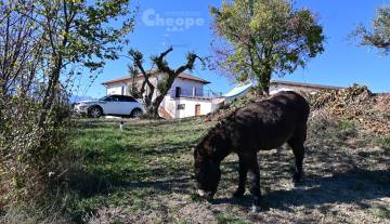 /images/gallery/thumbs/FattoriaCoccinelle_DSC_1983_360x207.JPG