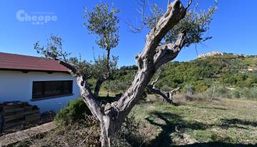 /images/gallery/thumbs/FattoriaCoccinelle_DSC_1988_360x207.JPG